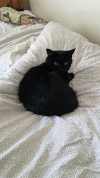 Olaf lying on the bed